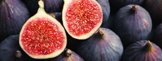 Get Figgy With It: How to Grow Figs