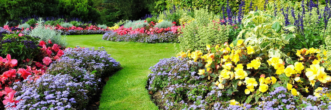 How To Use All The Plants In Your Garden Design