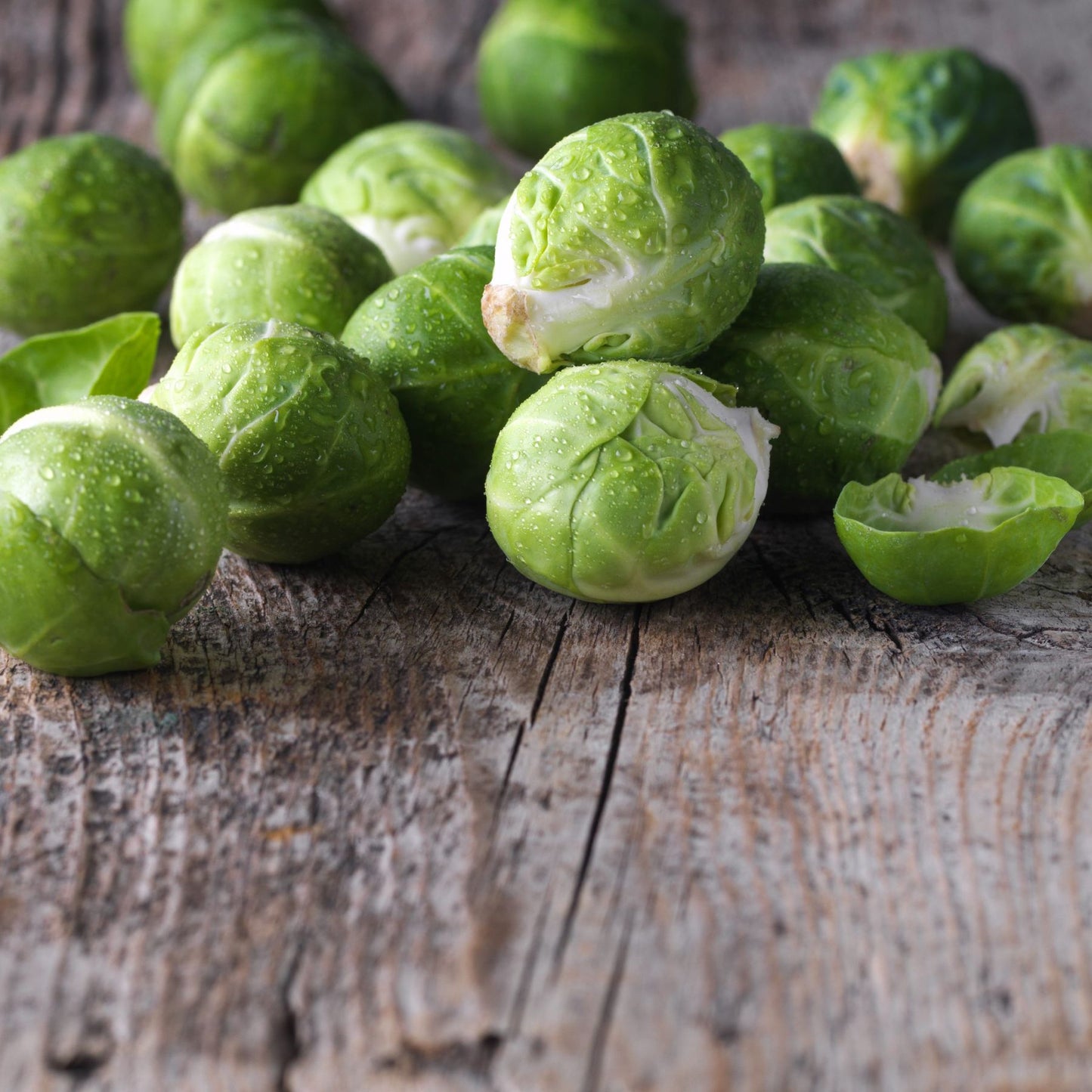 harvested brussels sprouts on table