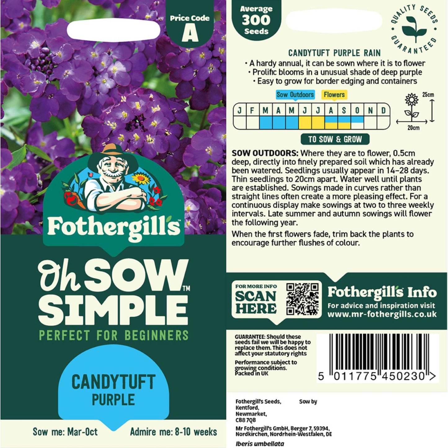 Candytuft Purple Rain seed packet information