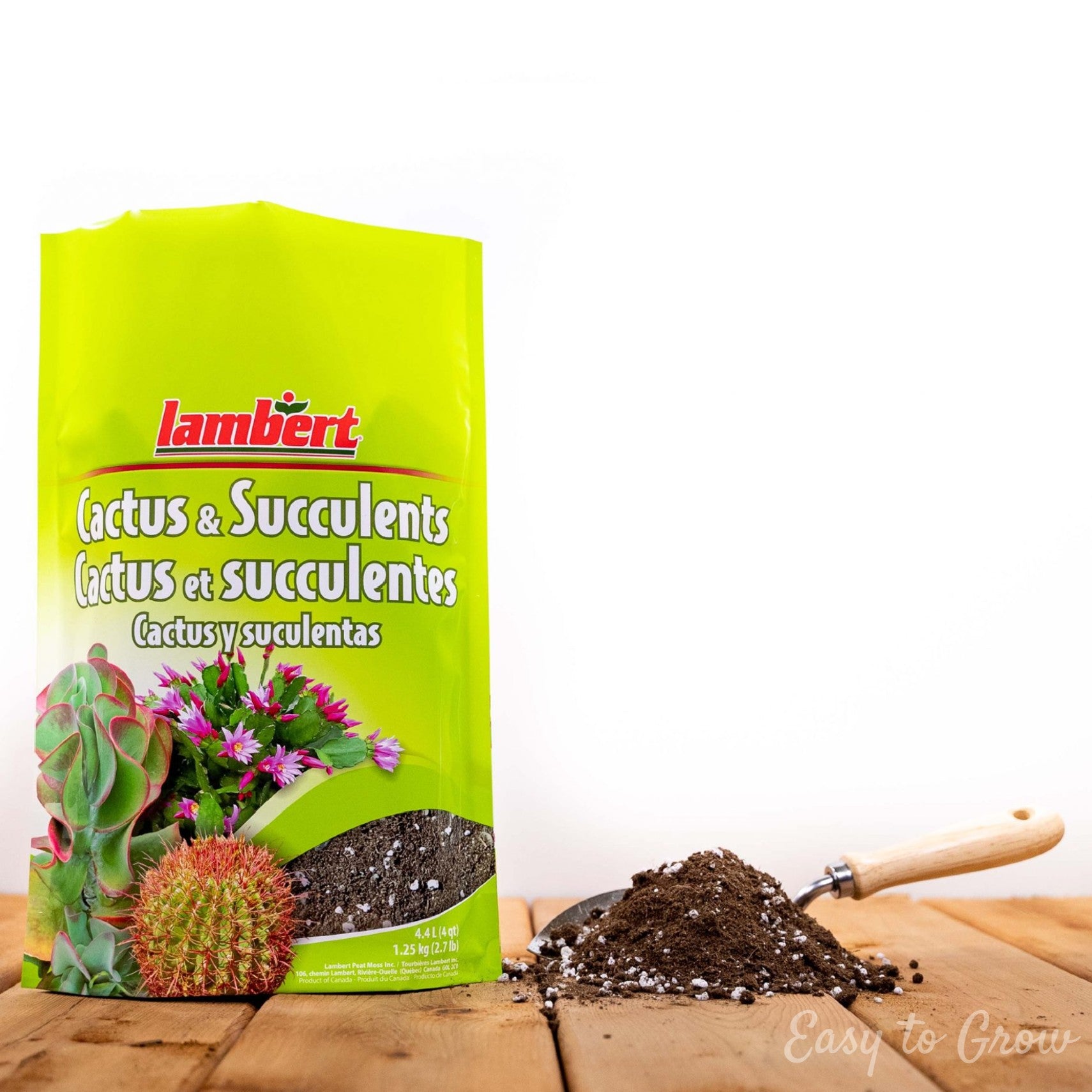 will cactus grow in potting soil Soil