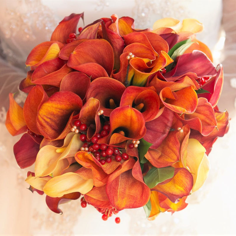 Calla - Burning Embers Collection