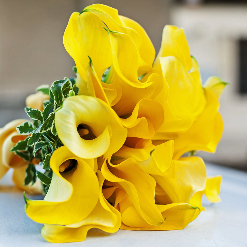 Yellow Calla Lily Bouquet