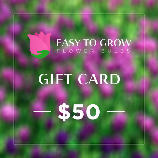 Gift e-Card - $50