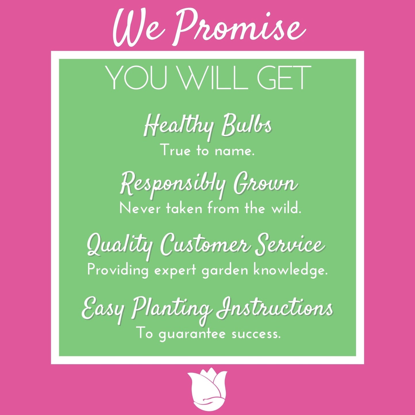 easy to grow promise