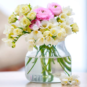 Freesia & Ranunculus Blend Pastel Lace in a vase