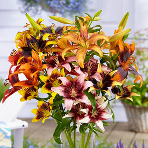 Assorted Color Tango Lilies Arranged In A Vase