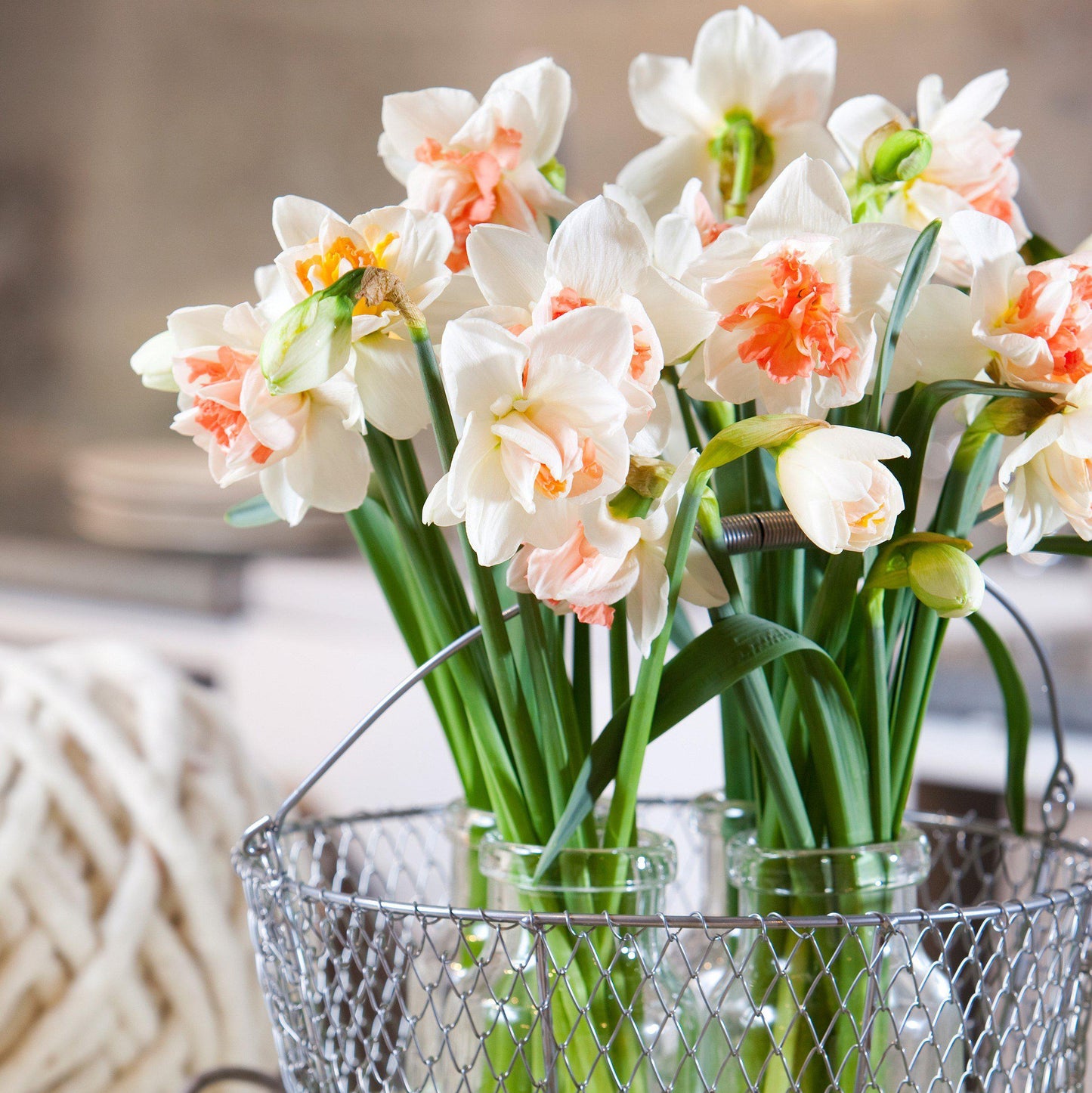 A Cut Bouquet of Narcissus Replete