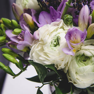 Close up on blueberries & Cream freesia and ranunculus blend