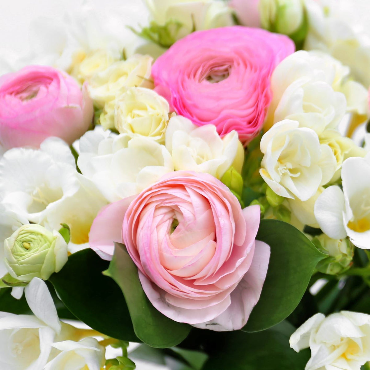 close up on pastel blend ranunculus and freesia