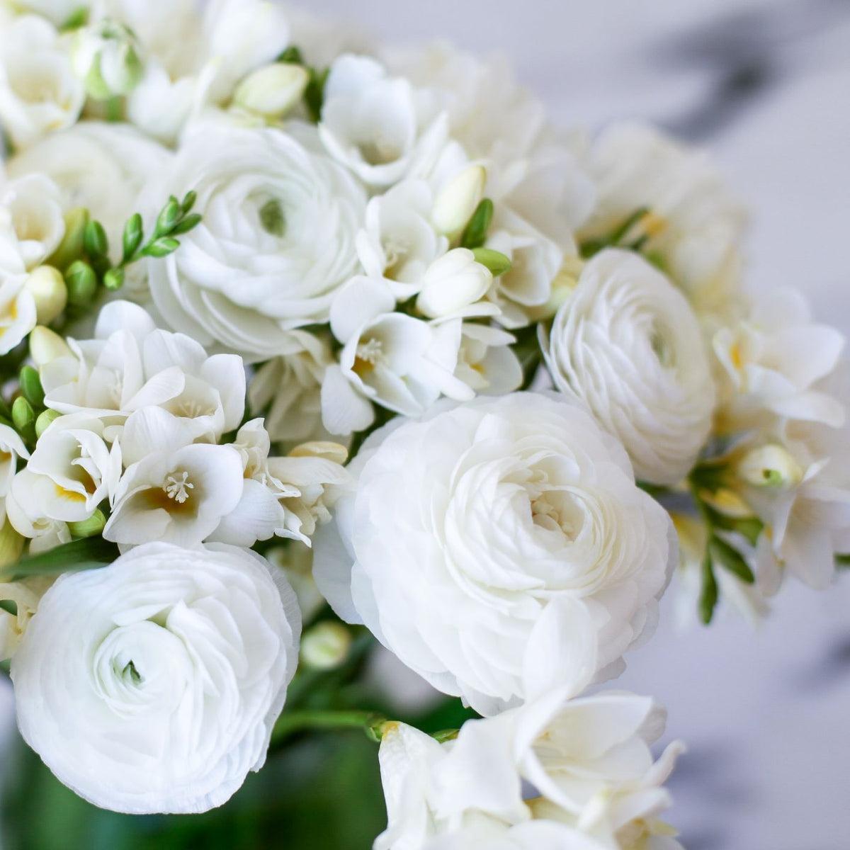 White Clouds Freesia & Ranunculus Blend Bouquet