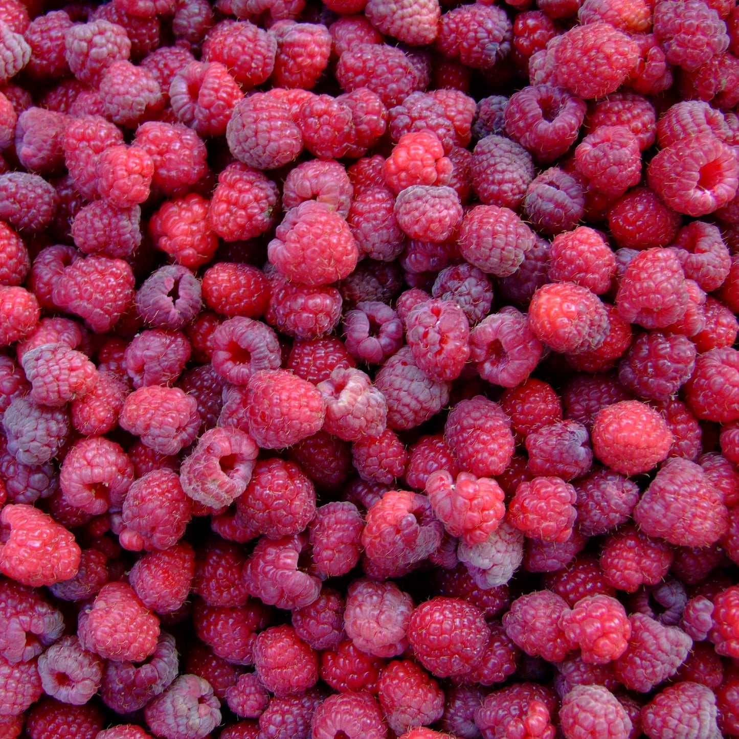 raspberries