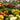 Ranunculus - Tecolote Rainbow Mix
