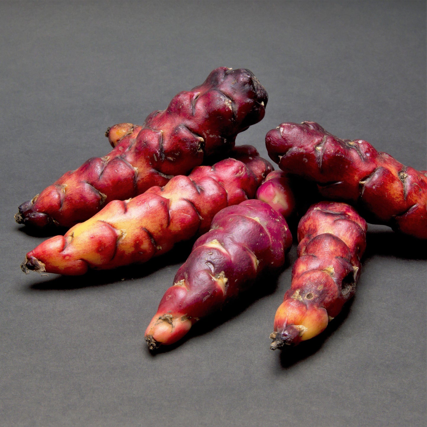 Oxalis - Triangularis and Regnellii Collection