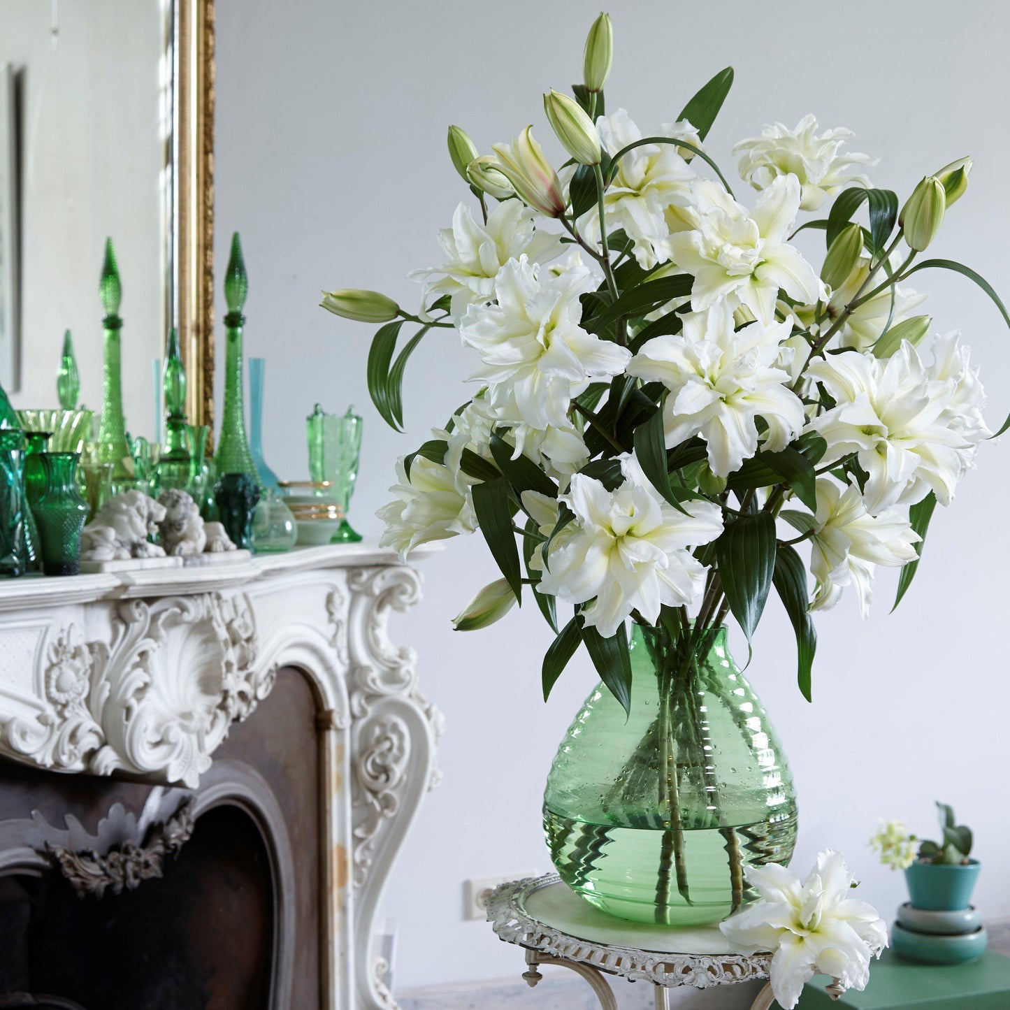 White double roselily flowers without pollen