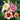 Daylily bumper crop mix