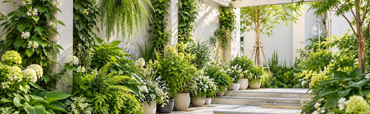 Green Drenching: How to Create a Lush Green Garden