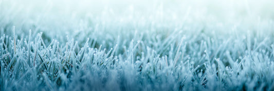 8 Cold-Weather Garden Chores