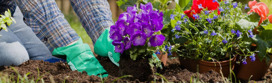How to Plant a Pre-Potted Plant: Tips and Tricks for Success