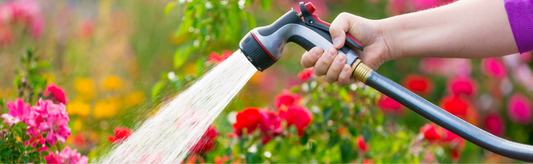 Spring Garden Watering Tips: How to Water for Healthy Growth