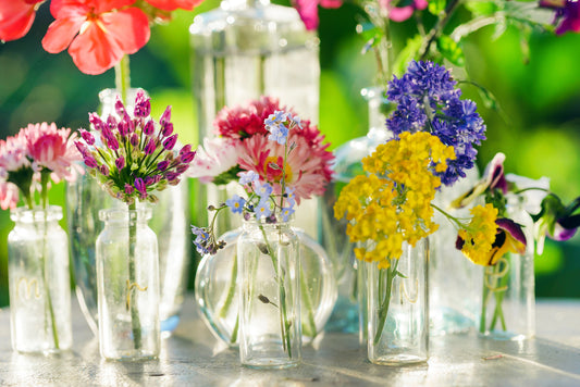 How to Grow the Ultimate Cut Flower Garden