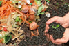 A Beginners Guide To Backyard Composting