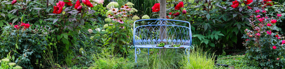 Plant Bulbs: Proper Placement for Garden Success