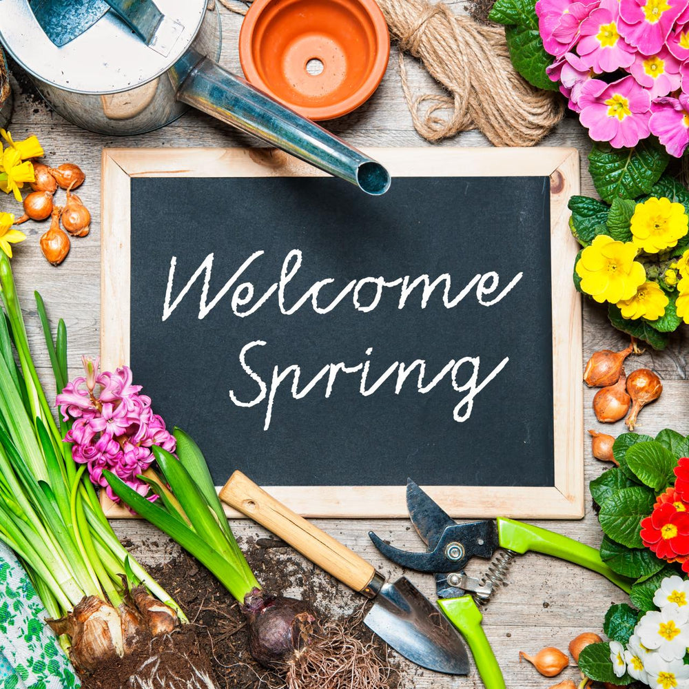 Shop the Online Spring Catalog from Easy to Grow – Easy To Grow Bulbs