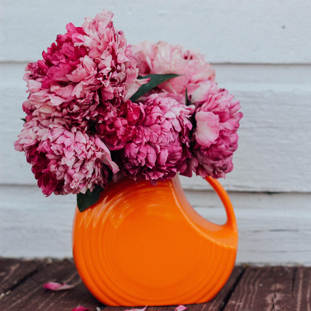 Plant an Experience with Fragrant Flowers Easy to Grow Bulbs Easy