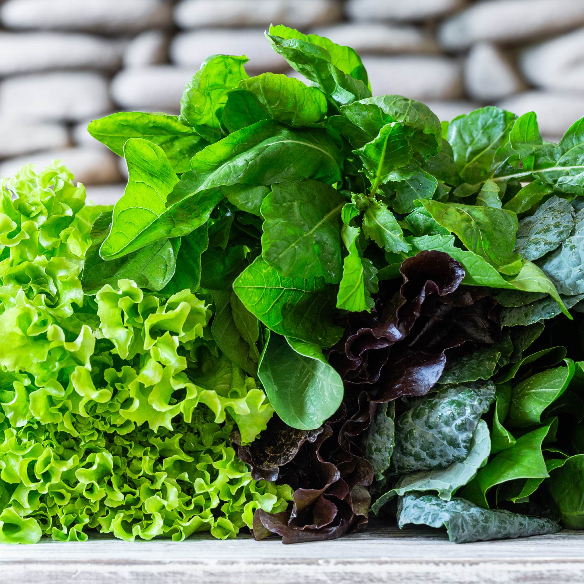 Shop Our Fruits, Vegetables & Herbs Catalog from Easy to Grow Easy To