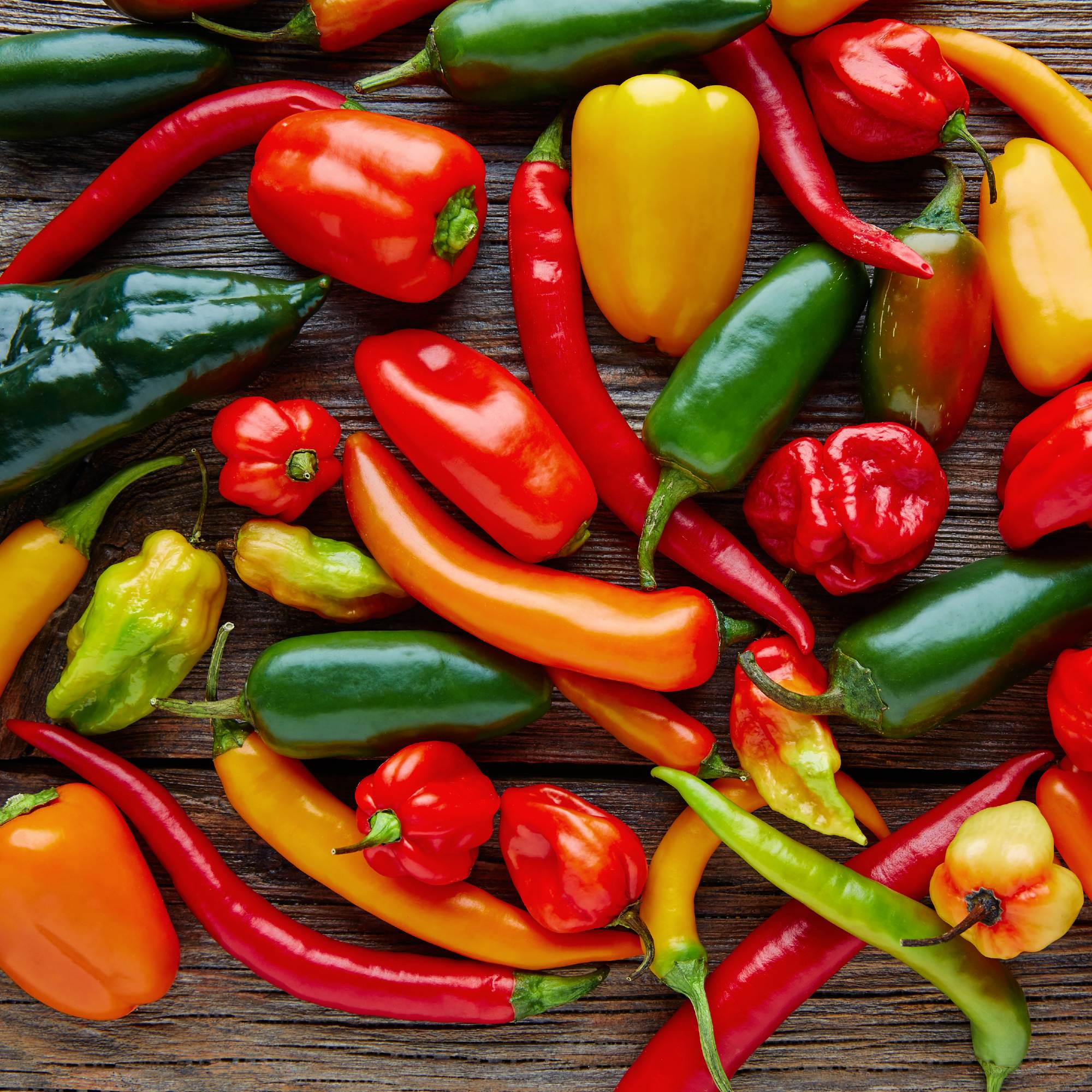 Shop Our Fruits, Vegetables & Herbs Catalog from Easy to Grow Easy To