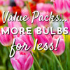 Flower Bulb Value Packs