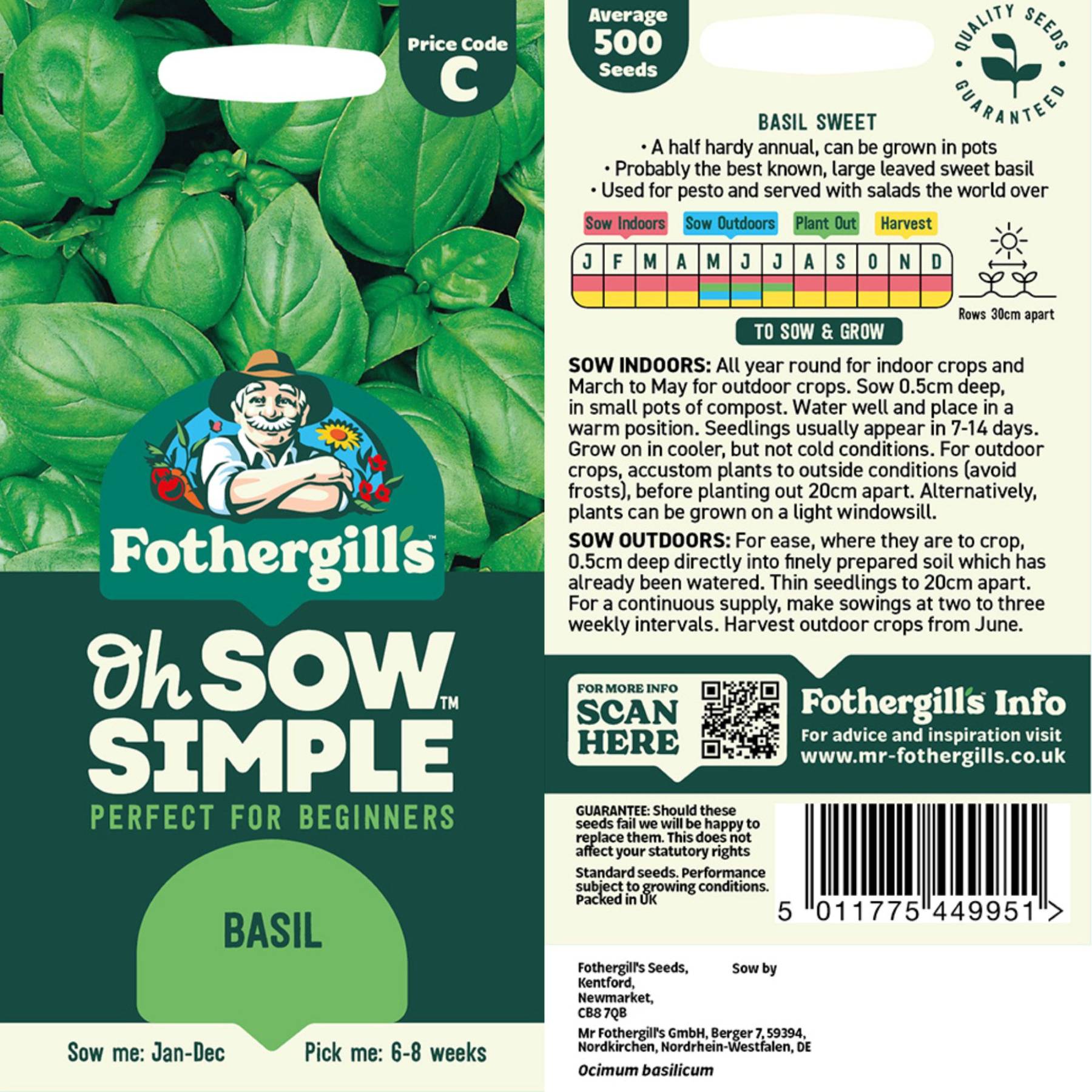 plant basil seeds indoors Easy to Grow Basil Seed