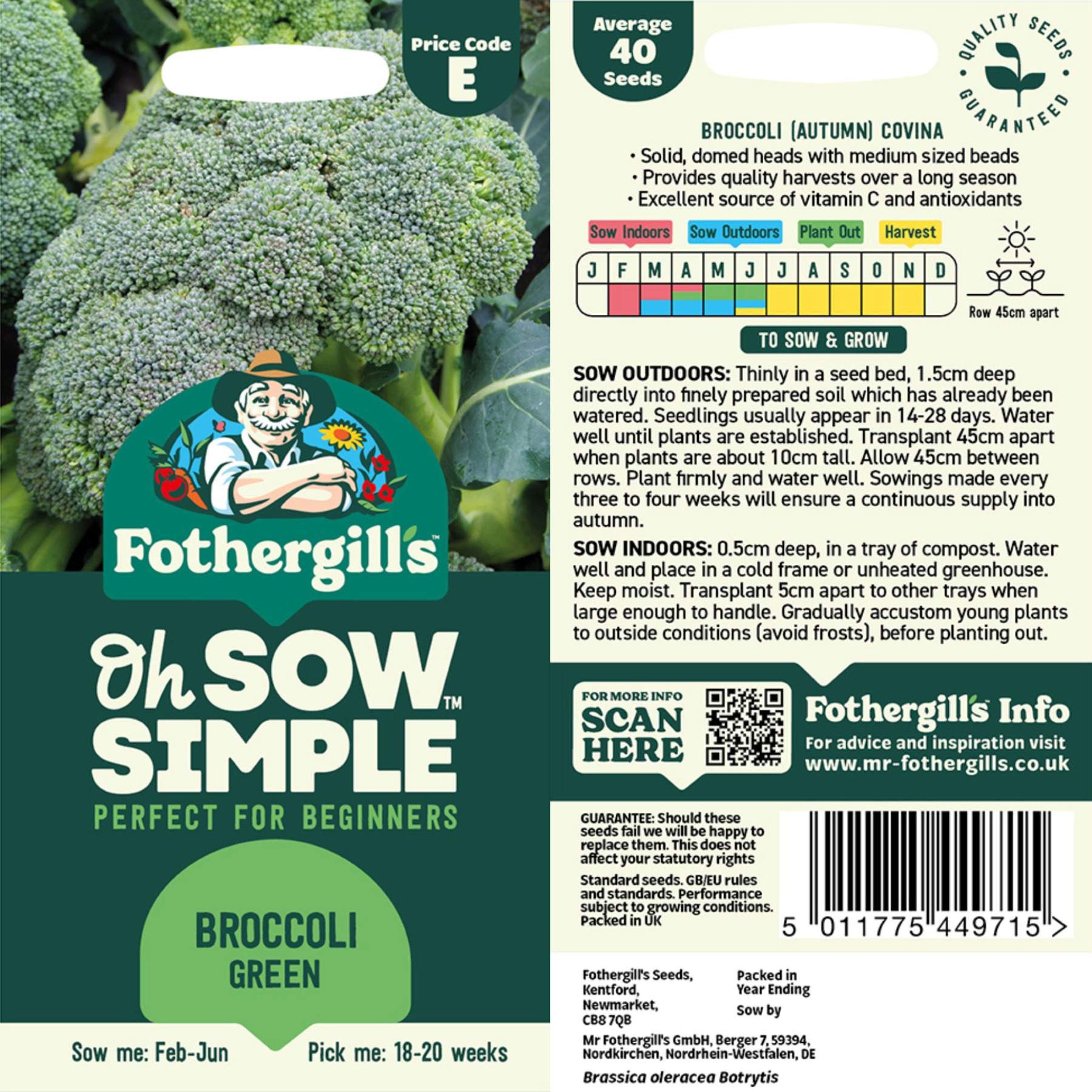 broccoli from seed to plant Broccoli Green Seed