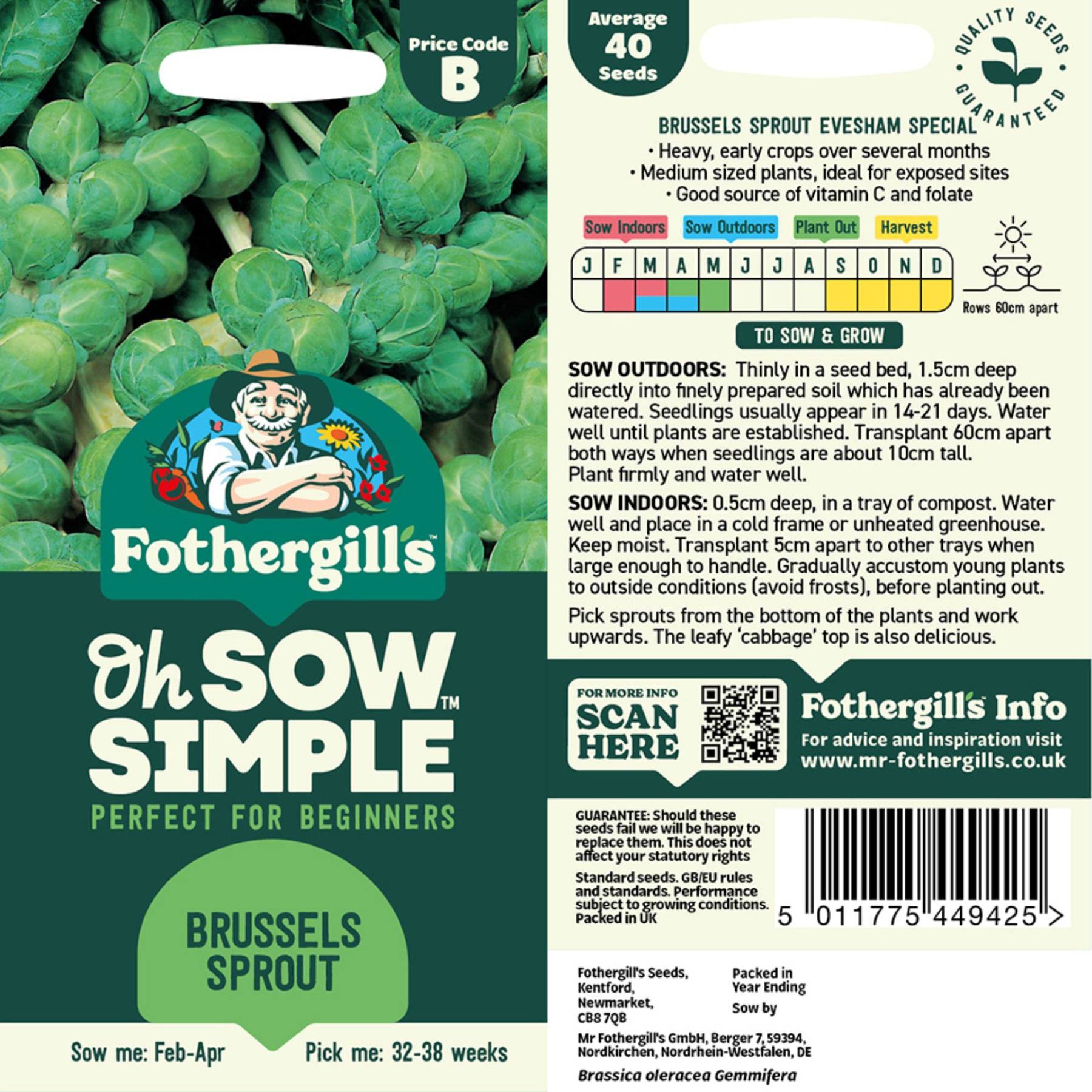 brussels sprouts seeds planting Easy to Grow Brussels Sprouts Seed