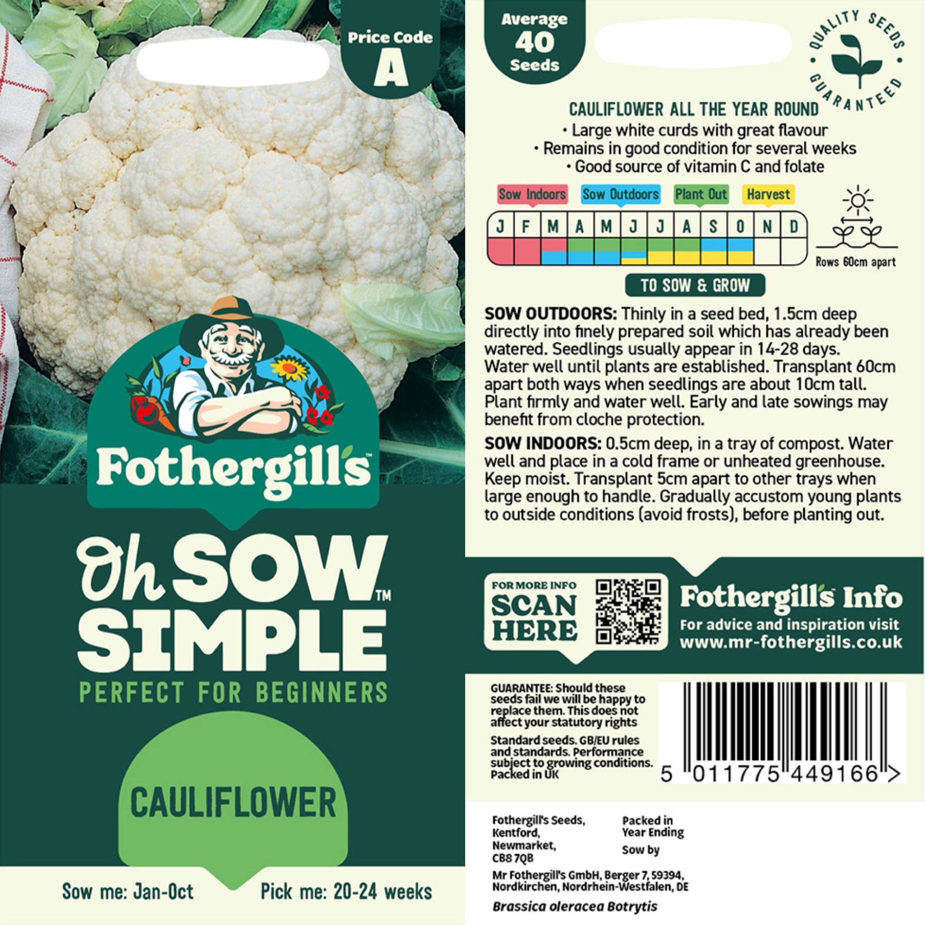 cauliflower plant seeds Easy to Grow Bulbs Cauliflower Seed