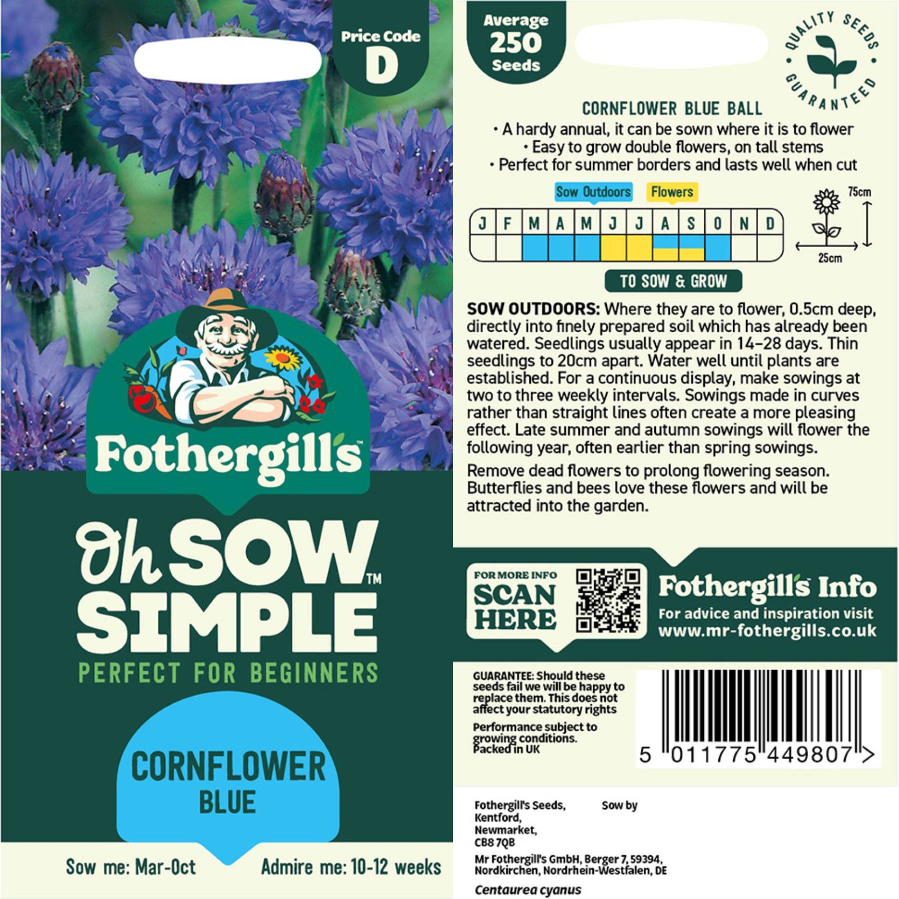 corn flower seeds Easy to Grow Bulbs Cornflower Blue Seed