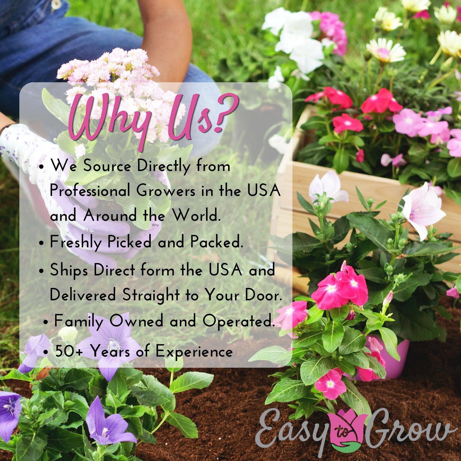 why buy statements from easy to grow