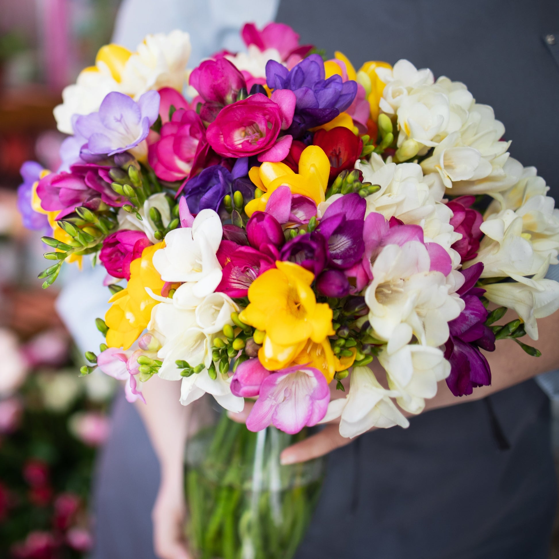 Bouquet of Mixed Color Freesias