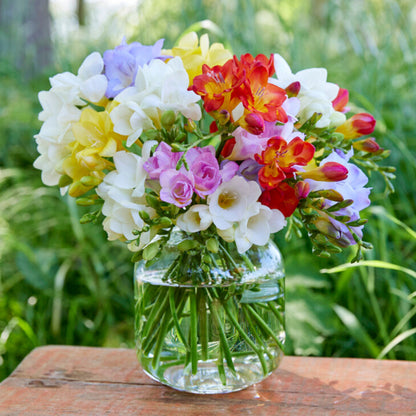Colorful Freesia Bouquet