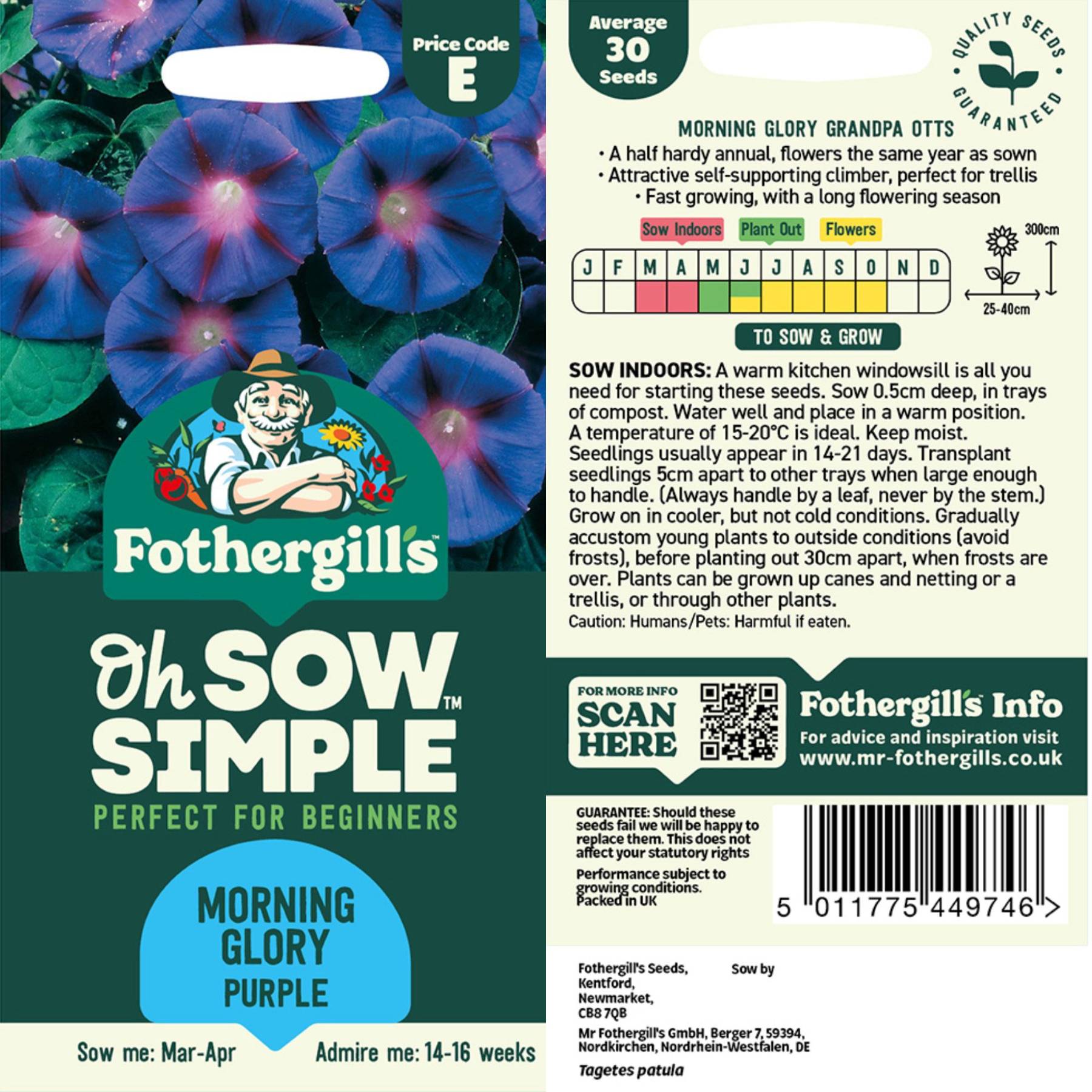 morning glory seed packets Easy to Grow Bulbs Morning Glory Purple Seed