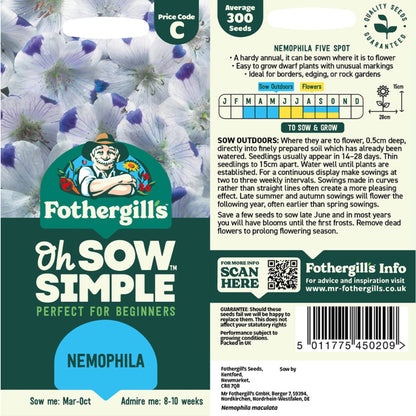 nemophila flower seeds Easy to Grow Nemophila Seed