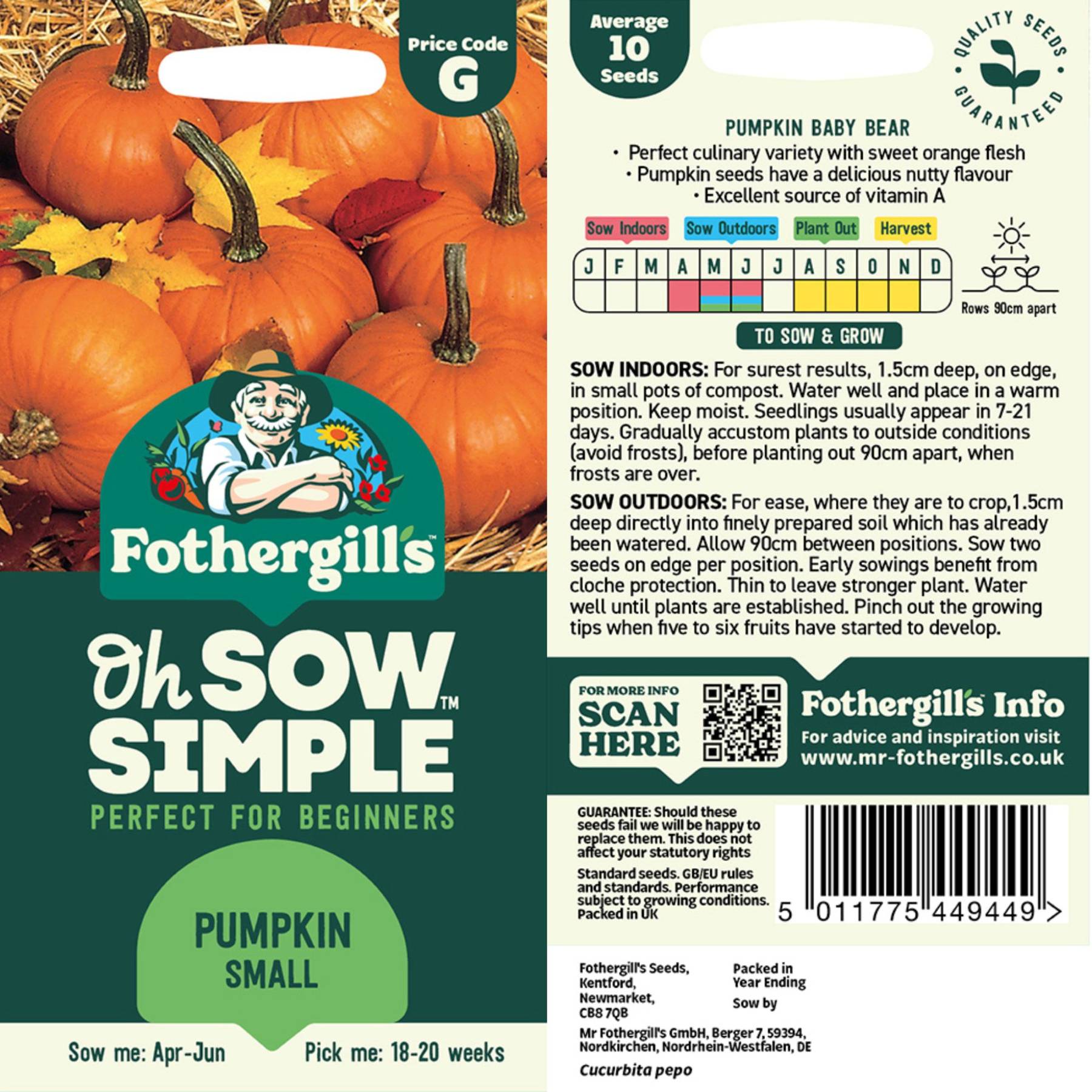 where to buy pumpkin seeds for planting Easy to Grow Bulbs Pumpkin Small Seed
