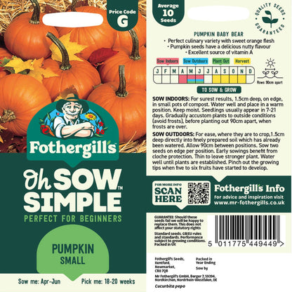 sugar pumpkin seeds for planting Easy to Grow Small Pumpkin Seed