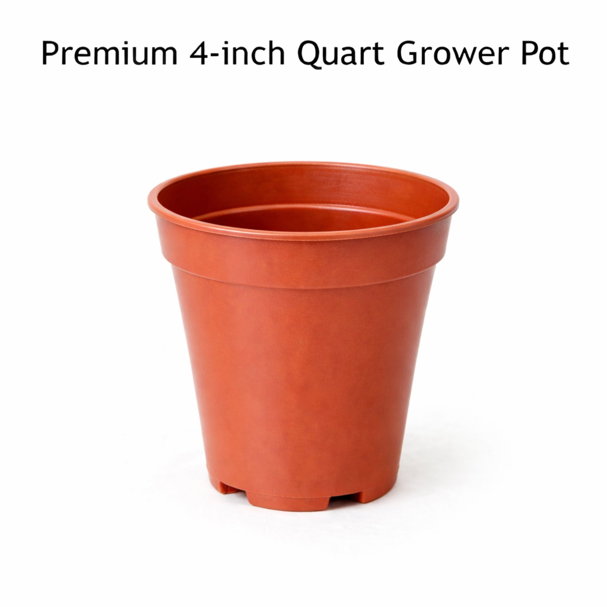 quart plant pot Potted Colorful Bearded Iris Mix