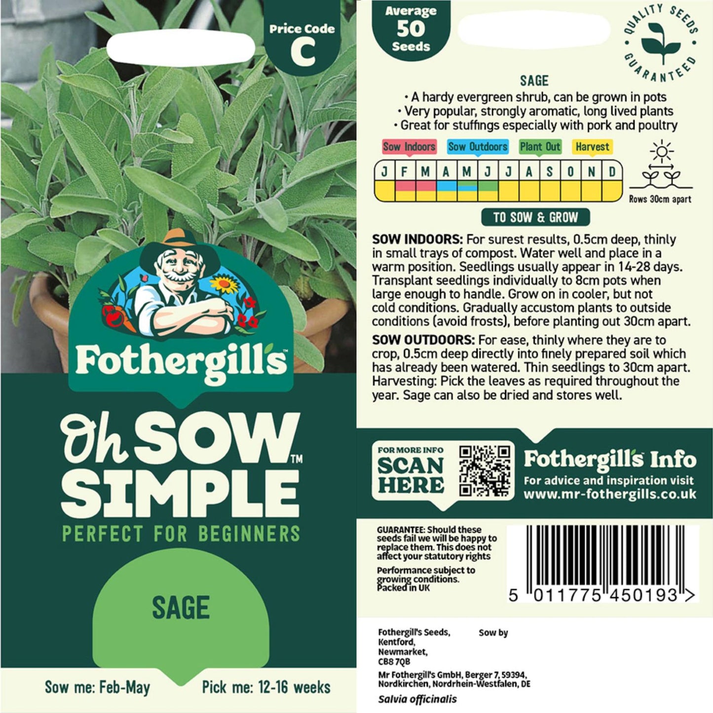 planting sage seeds indoors Easy to Grow Sage Seed