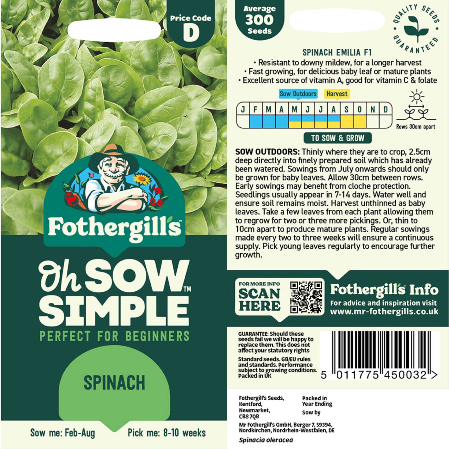 plant spinach seeds Easy to Grow Spinach Seed