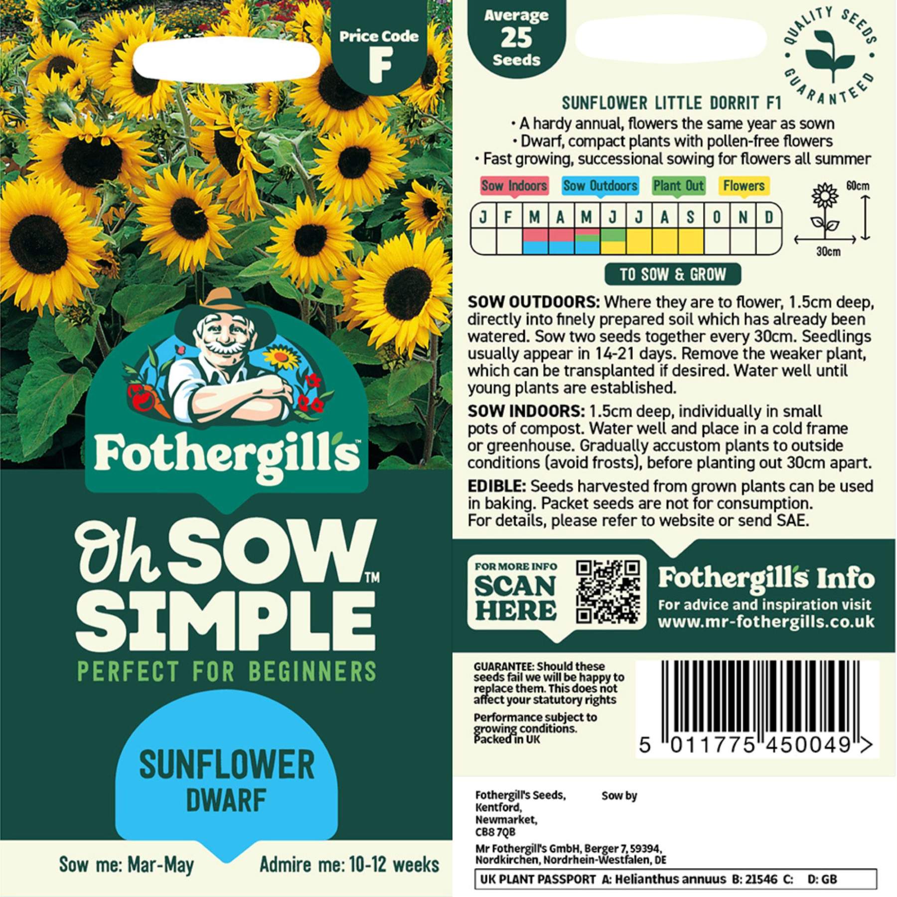 dwarf sunflower seeds to plant Easy to Grow Bulbs Sunflower Dwarf Seed