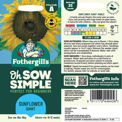 jumbo sunflower seeds for planting Easy to Grow Giant Sunflower Seed