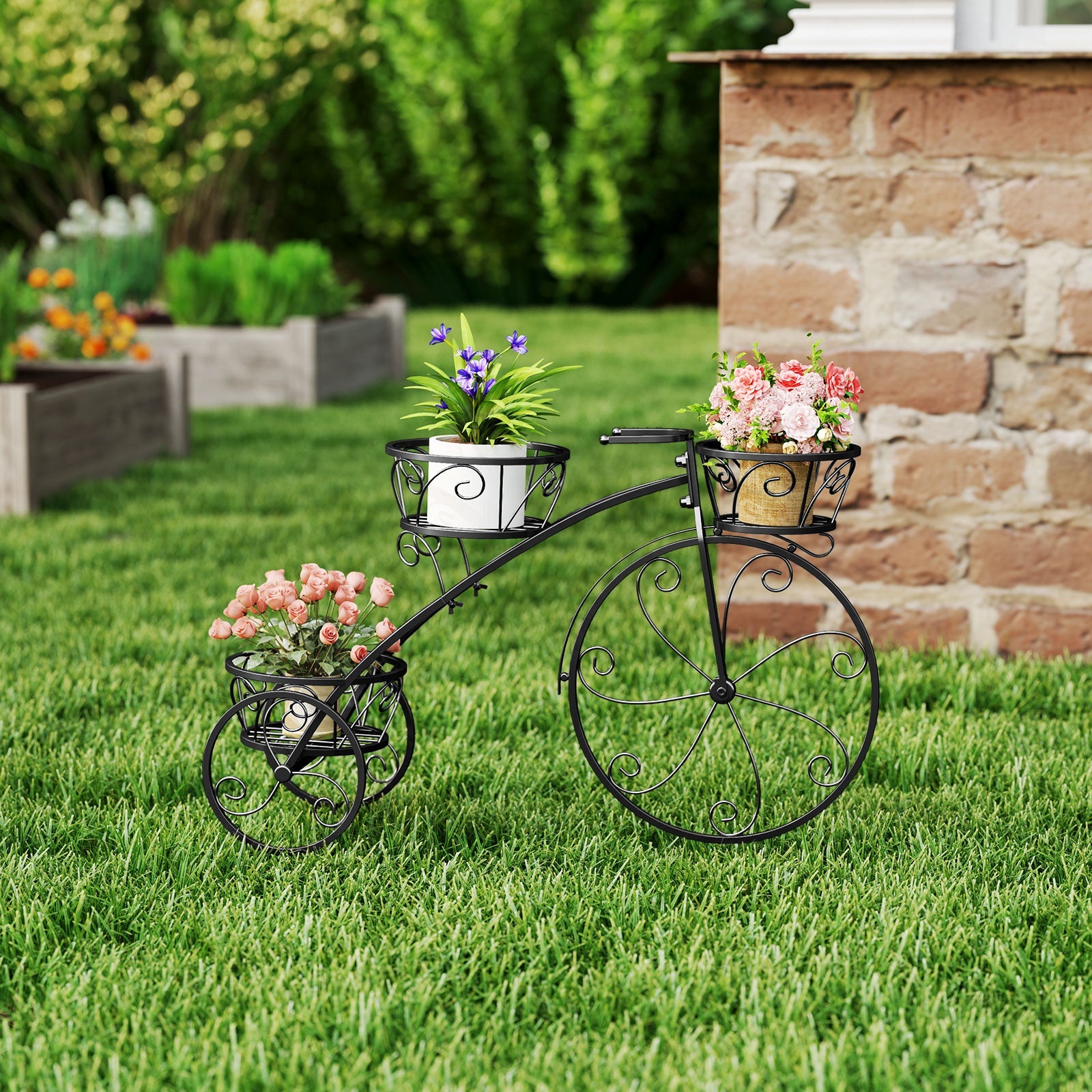 planting allium in pots Bright Mixed Allium Bulbs for Sale Online